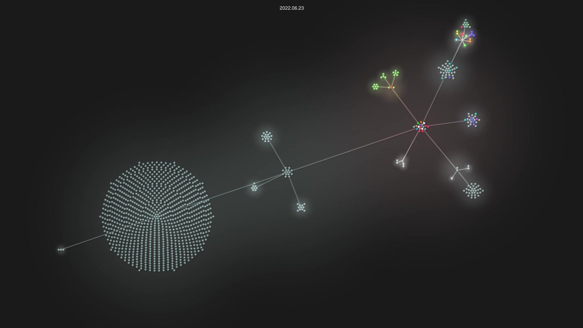yt-dlp/yt-dlp source code visualization