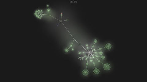 slevomat/coding-standard source code visualization