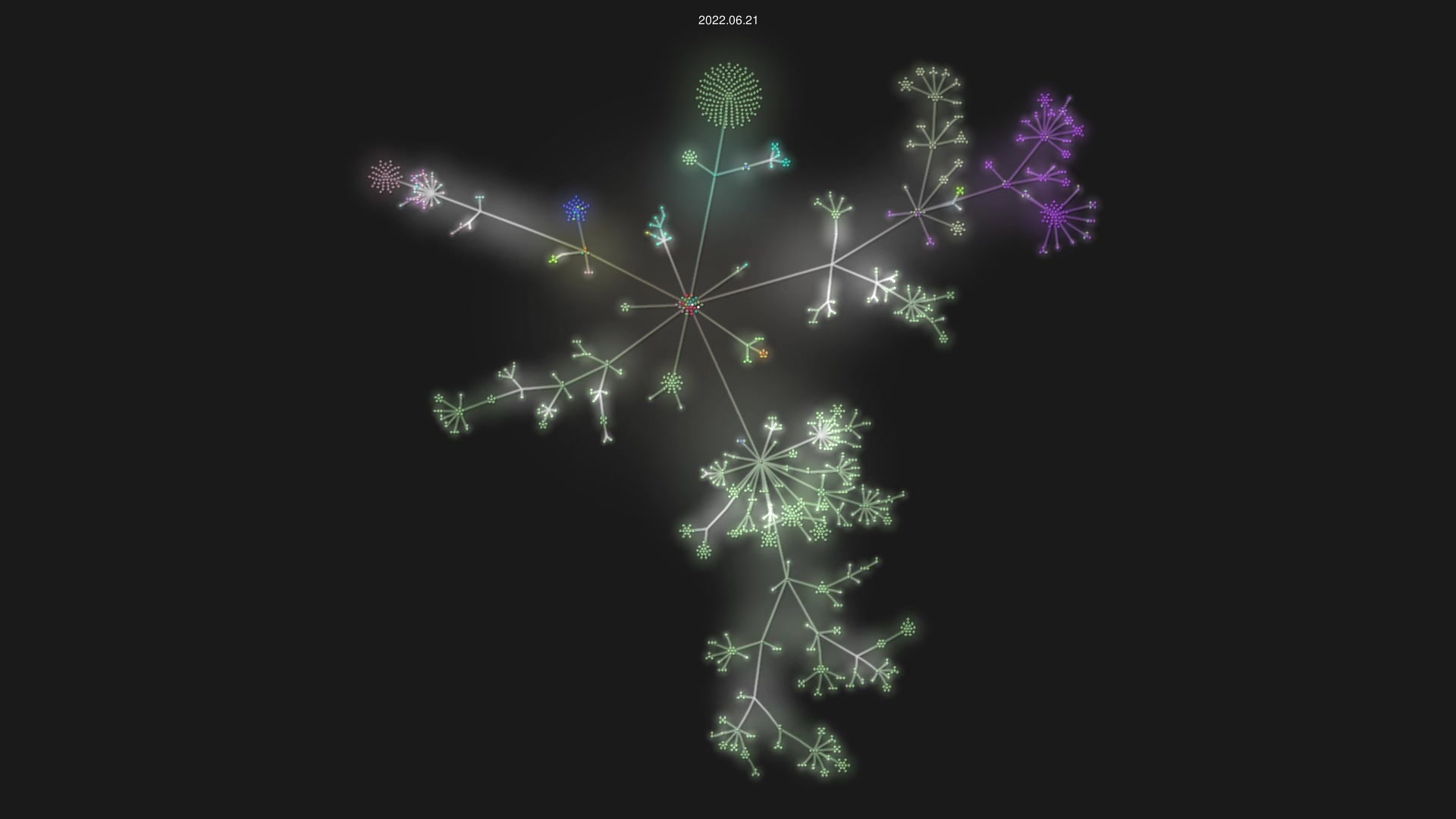 pterodactyl/panel source code visualization
