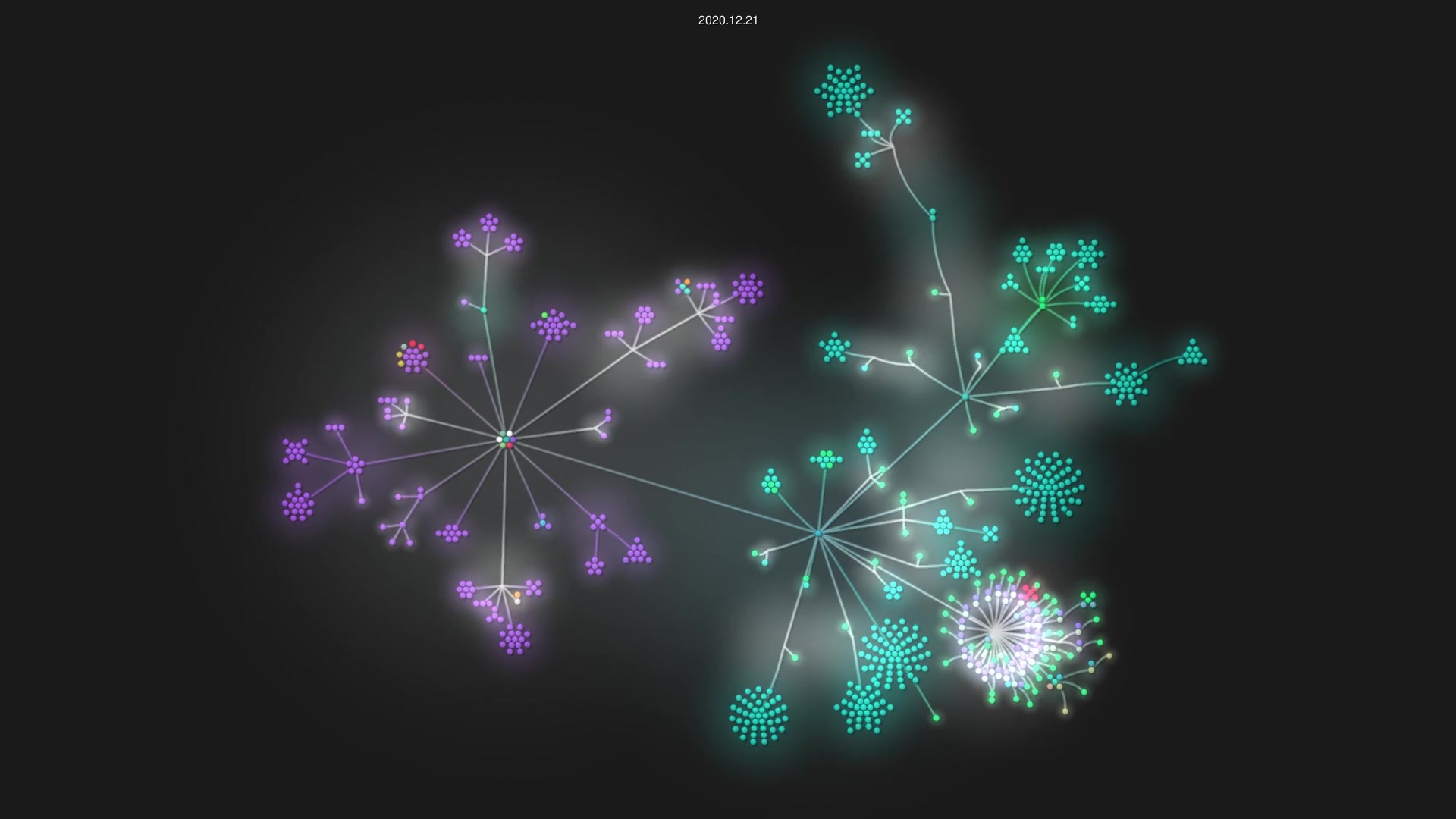 ElrondNetwork/arwen-wasm-vm source code visualization