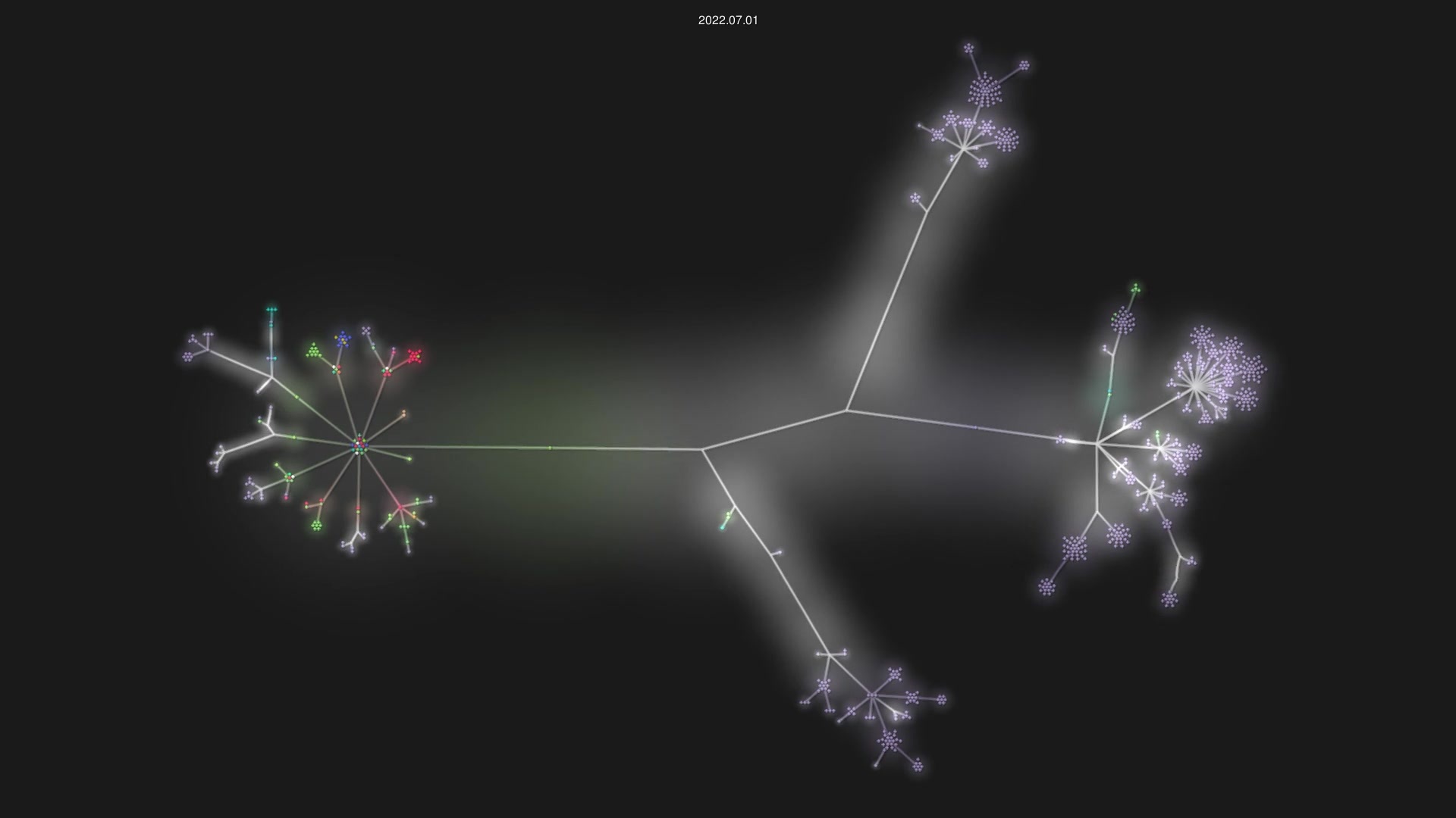 cqfn/diktat source code visualization