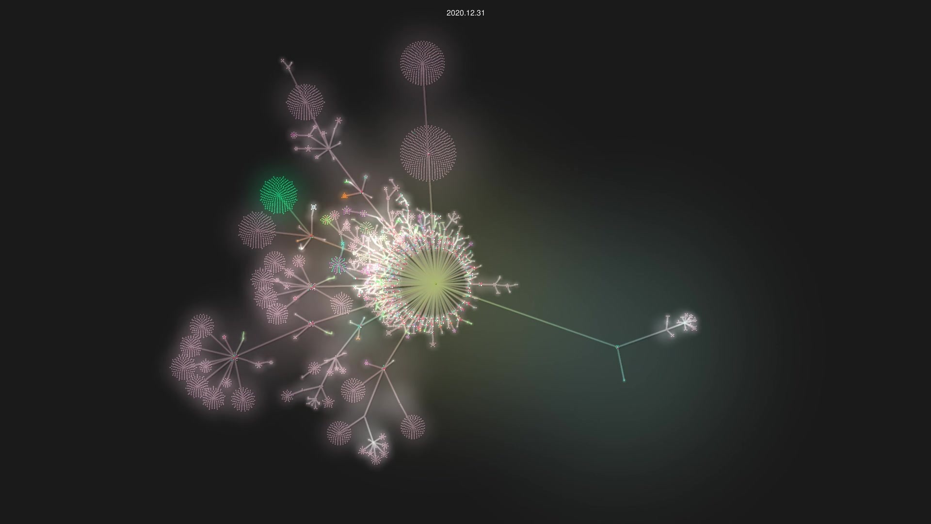 LucasVChaves/MauricioRobo source code visualization
