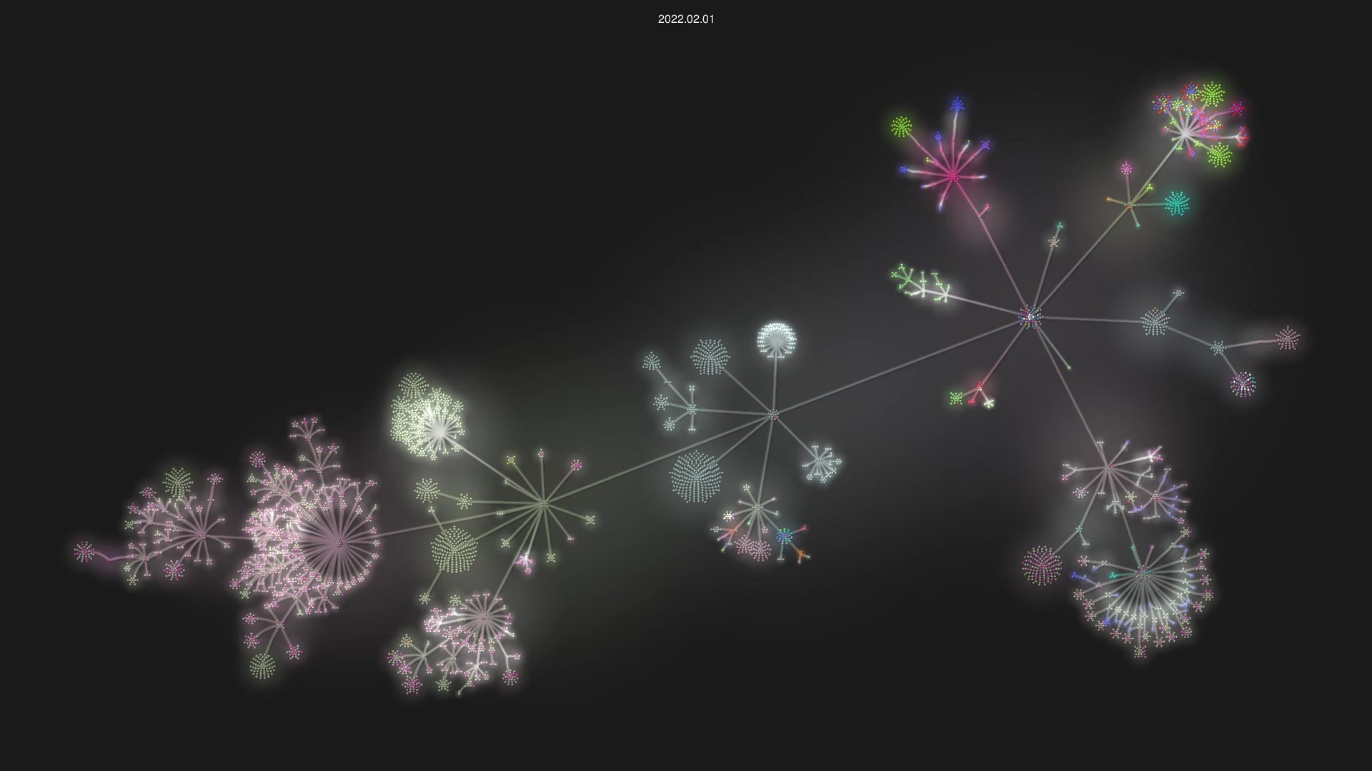 oppia/oppia source code visualization