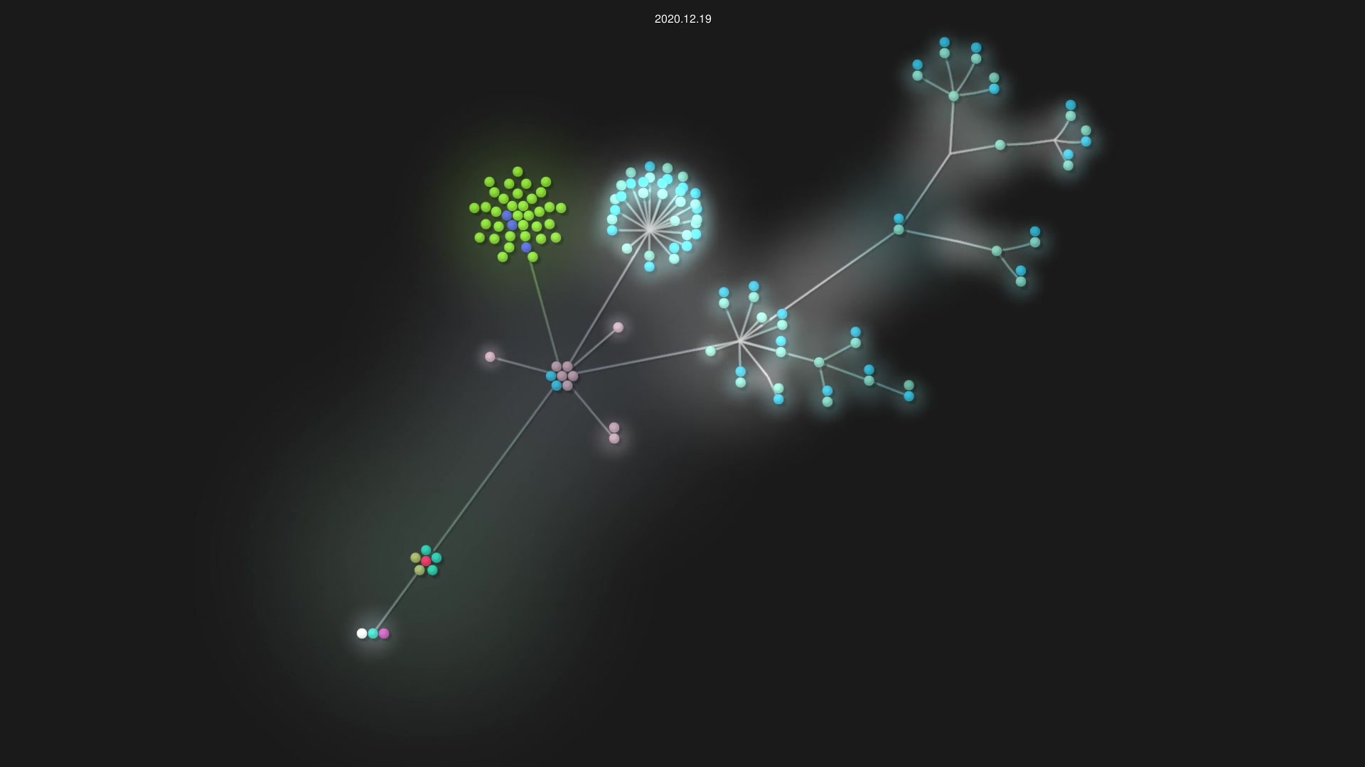estartando-devs/Busquepet source code visualization