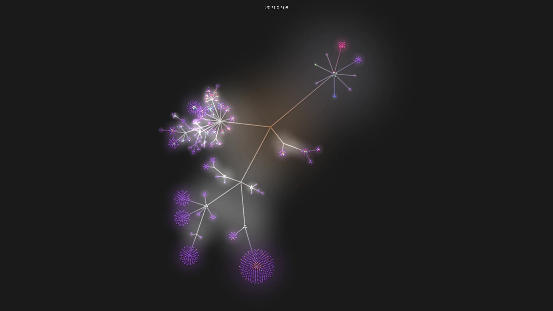kgretzky/evilginx2 source code visualization
