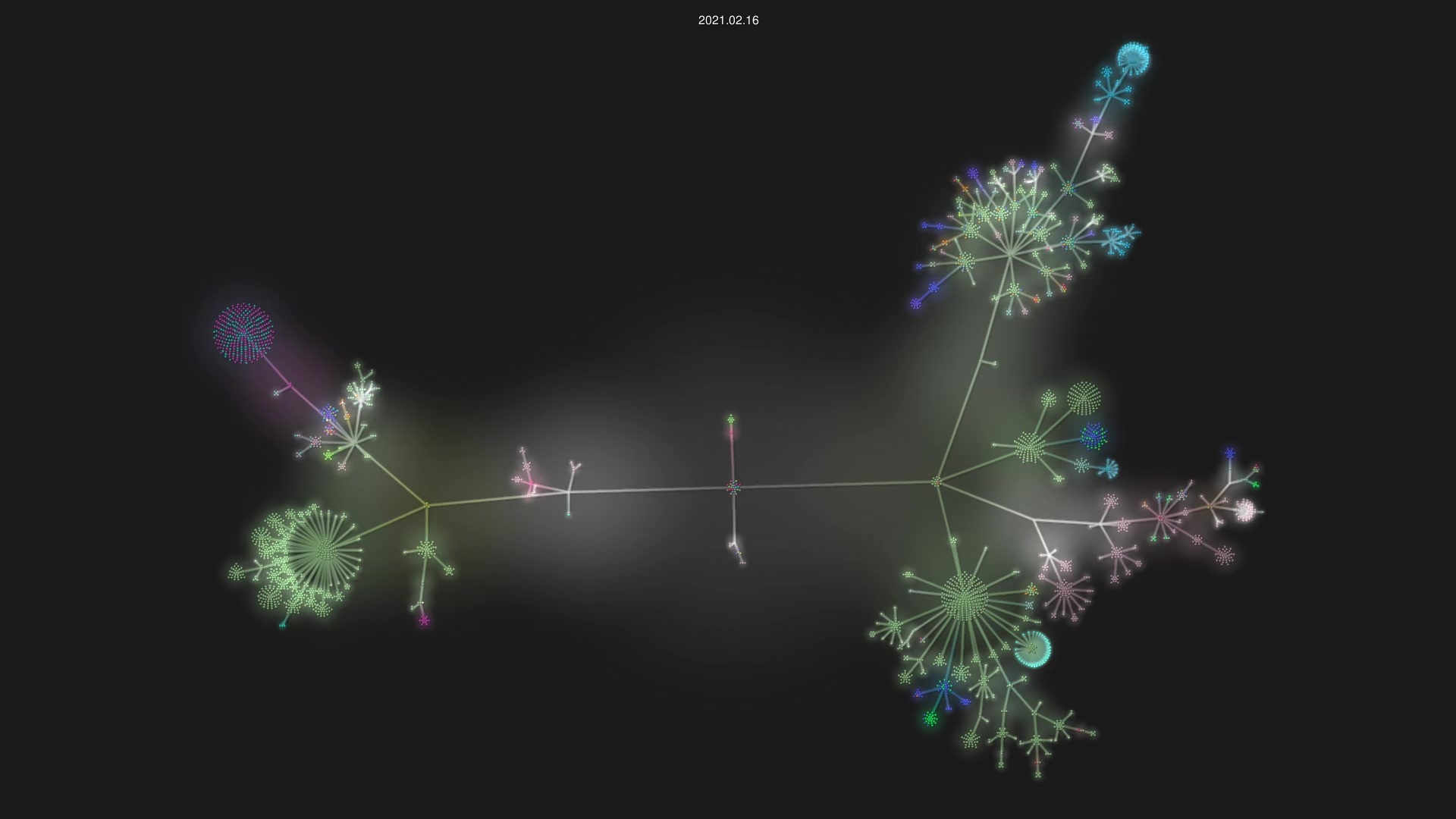 WordPress/wordpress-develop source code visualization