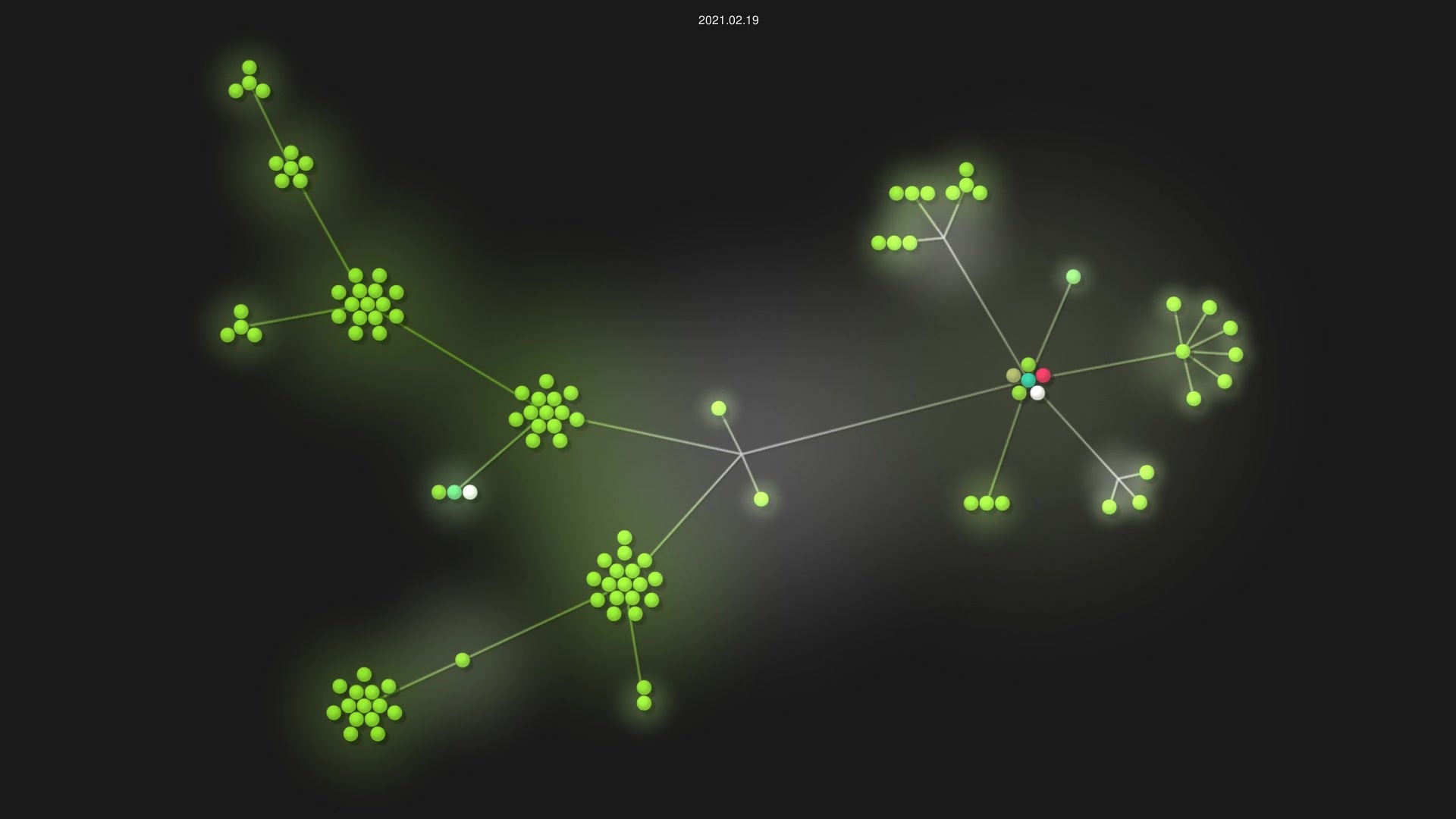 kylesferrazza/nix source code visualization