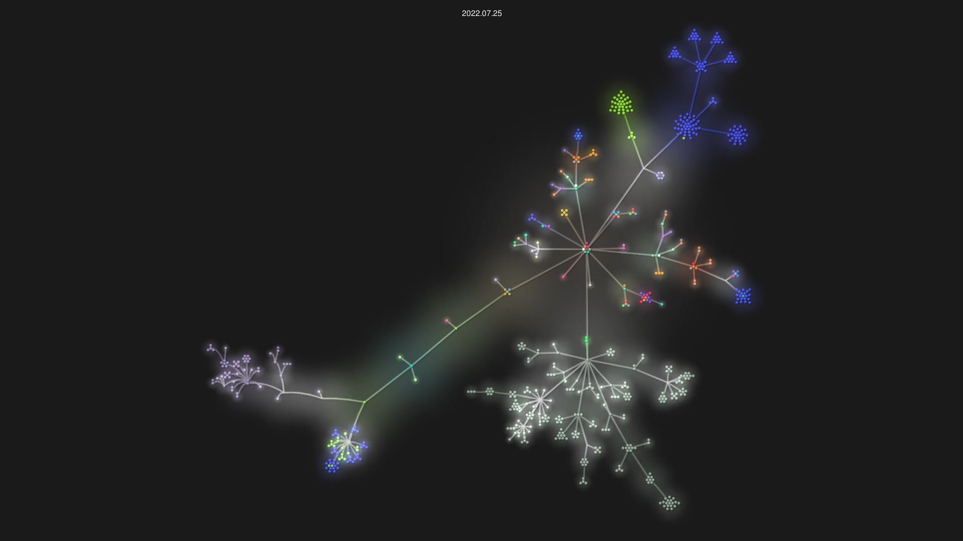 twtstudio/WePeiYang-Flutter source code visualization