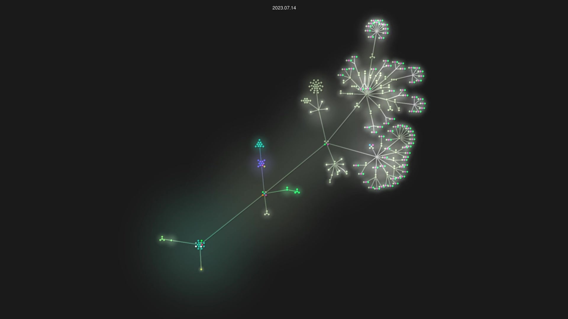 bingemate/frontend source code visualization