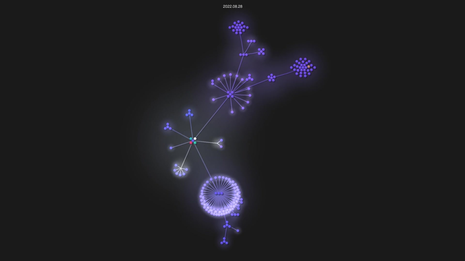 reo101/reovim source code visualization