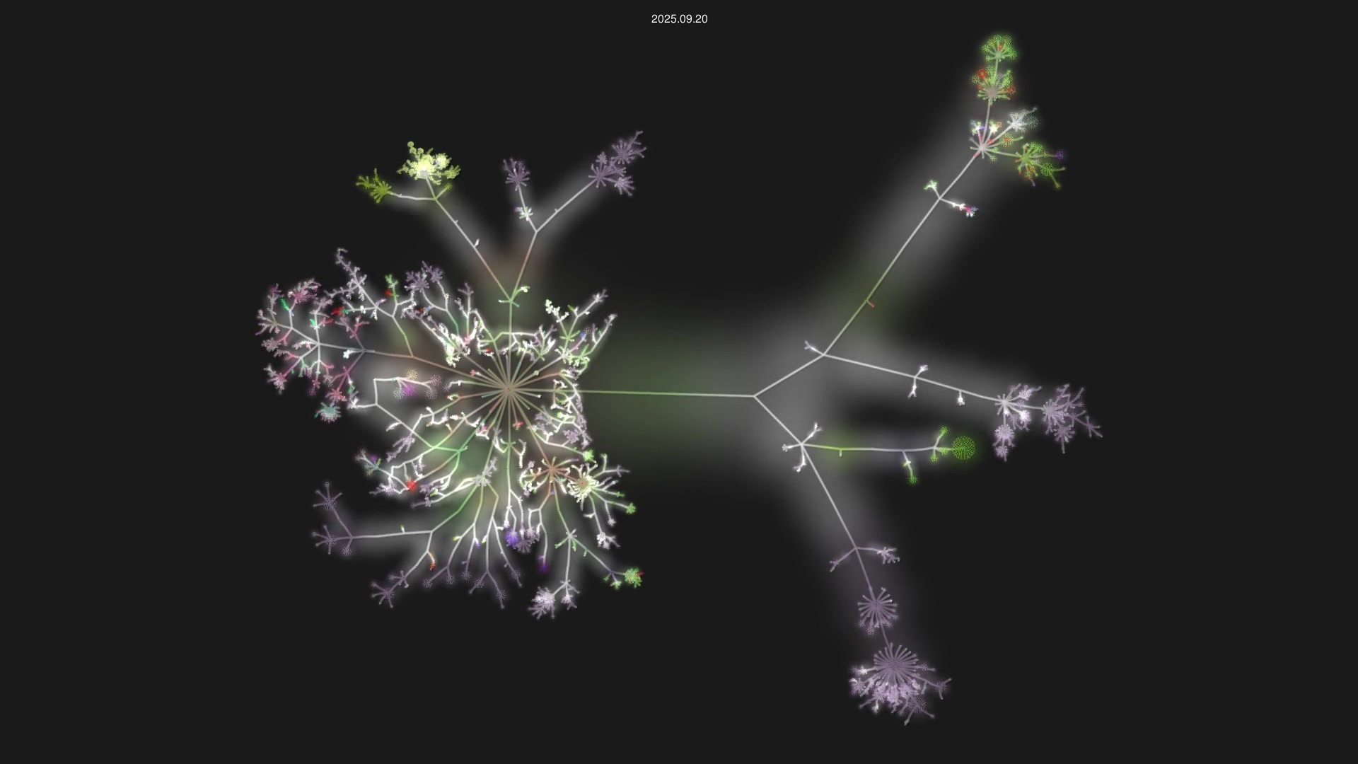 hauptmedia/operaton_no_history source code visualization
