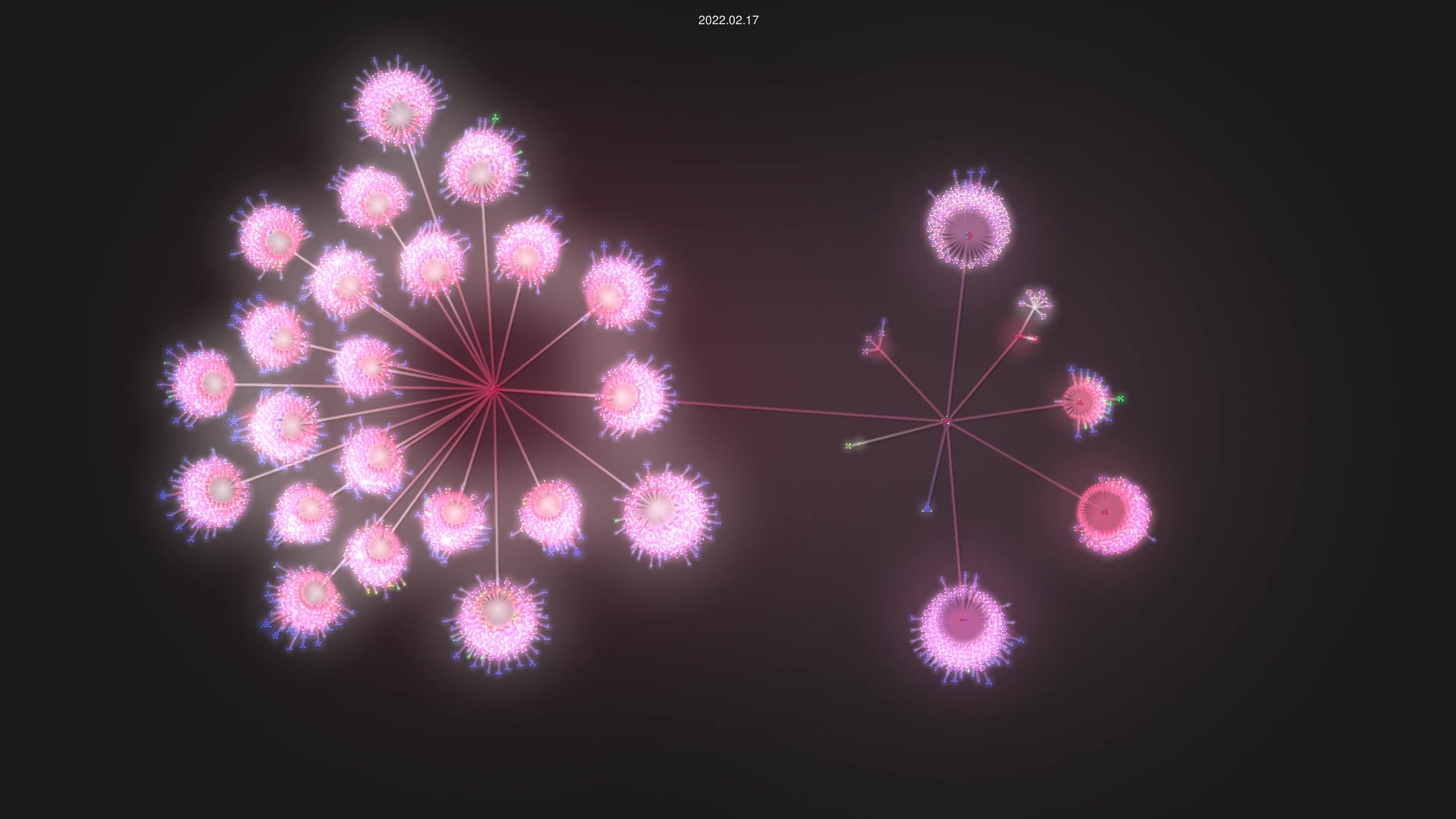 doocs/leetcode source code visualization