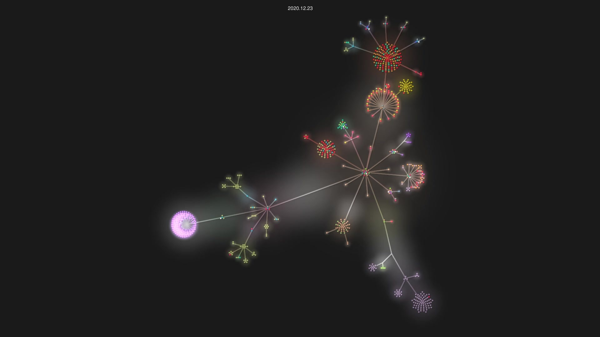 vmware/differential-datalog source code visualization