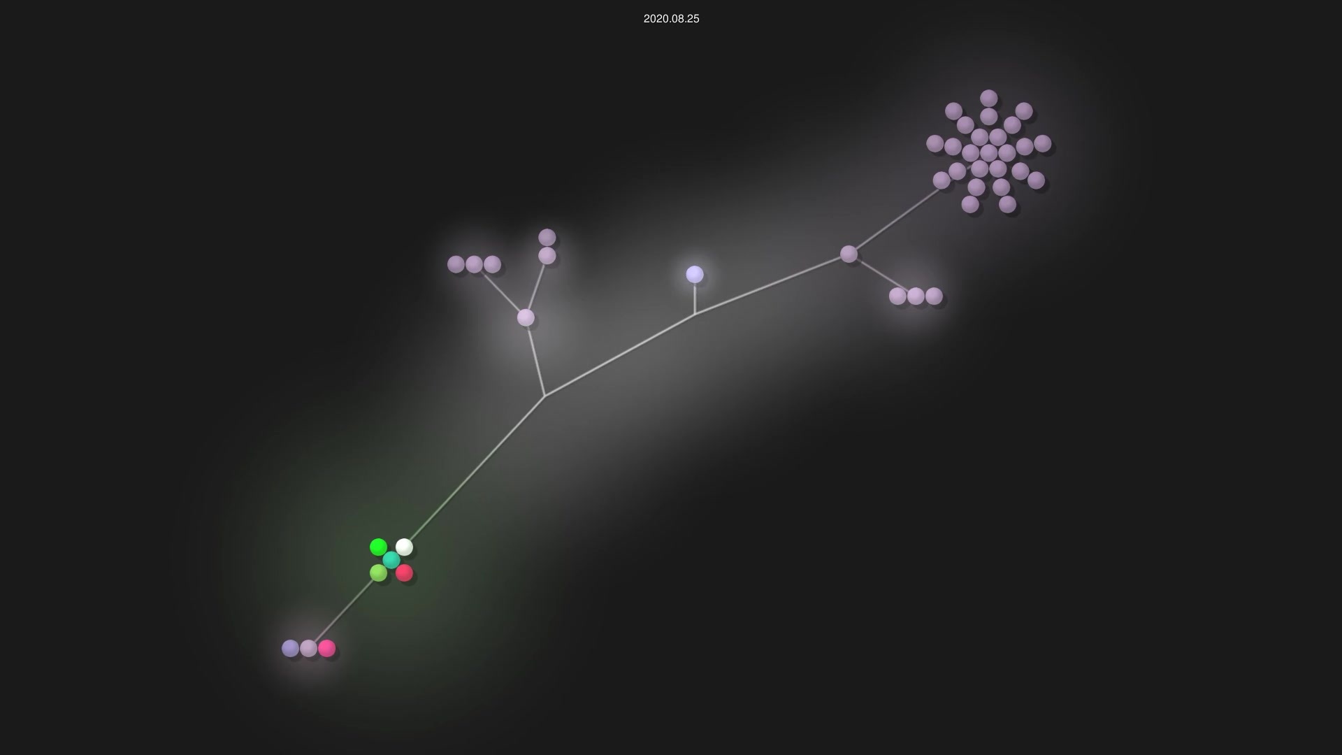 cenkc/leetcode-studies source code visualization
