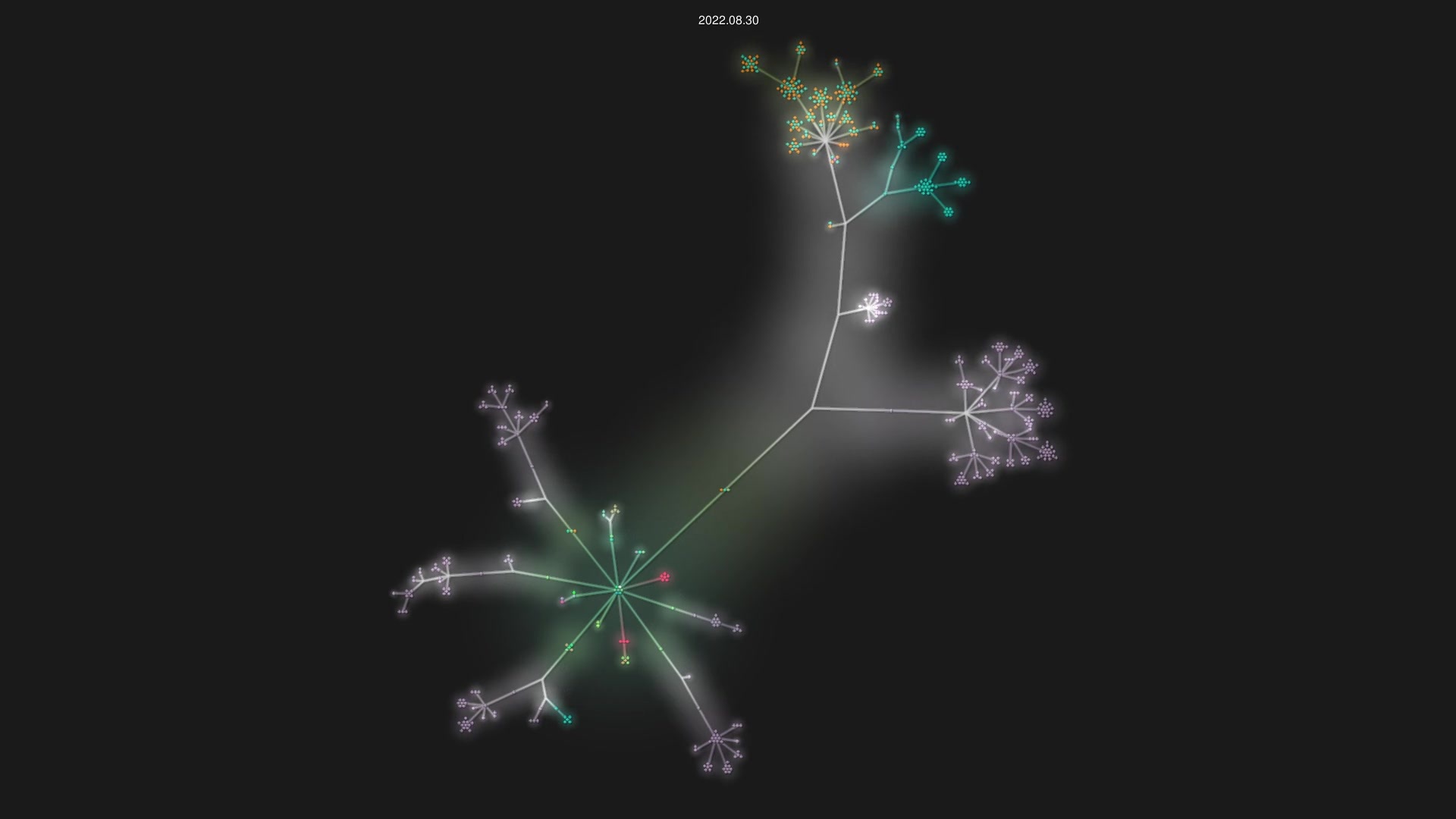mzi-lang/mzi-dev source code visualization