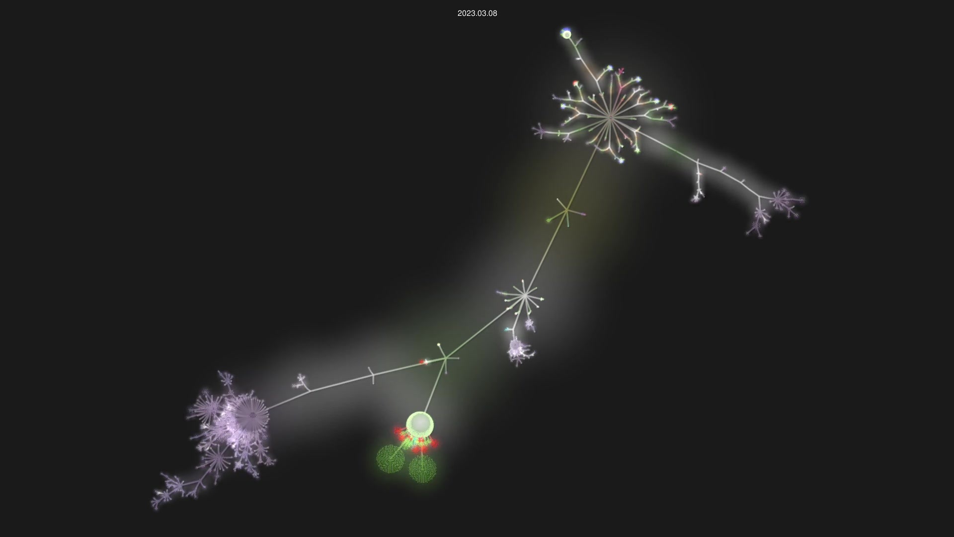 signalapp/Signal-Android source code visualization