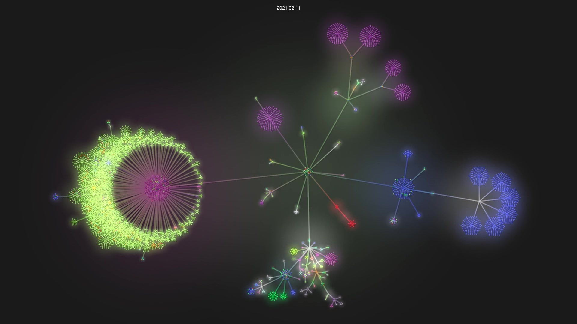 HL7/fhir source code visualization