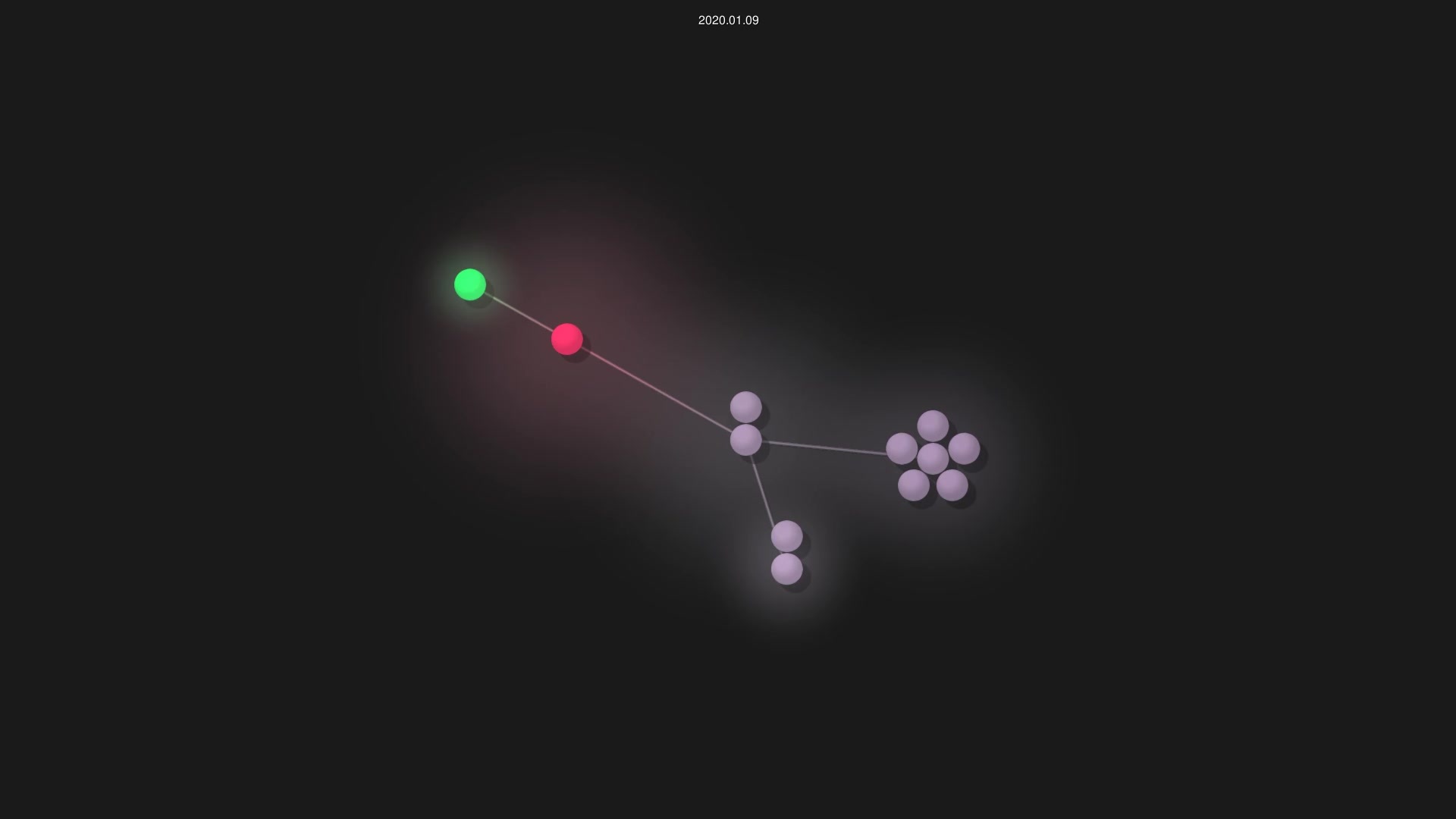 alexander-hamme/Predator-Prey-Simulator source code visualization