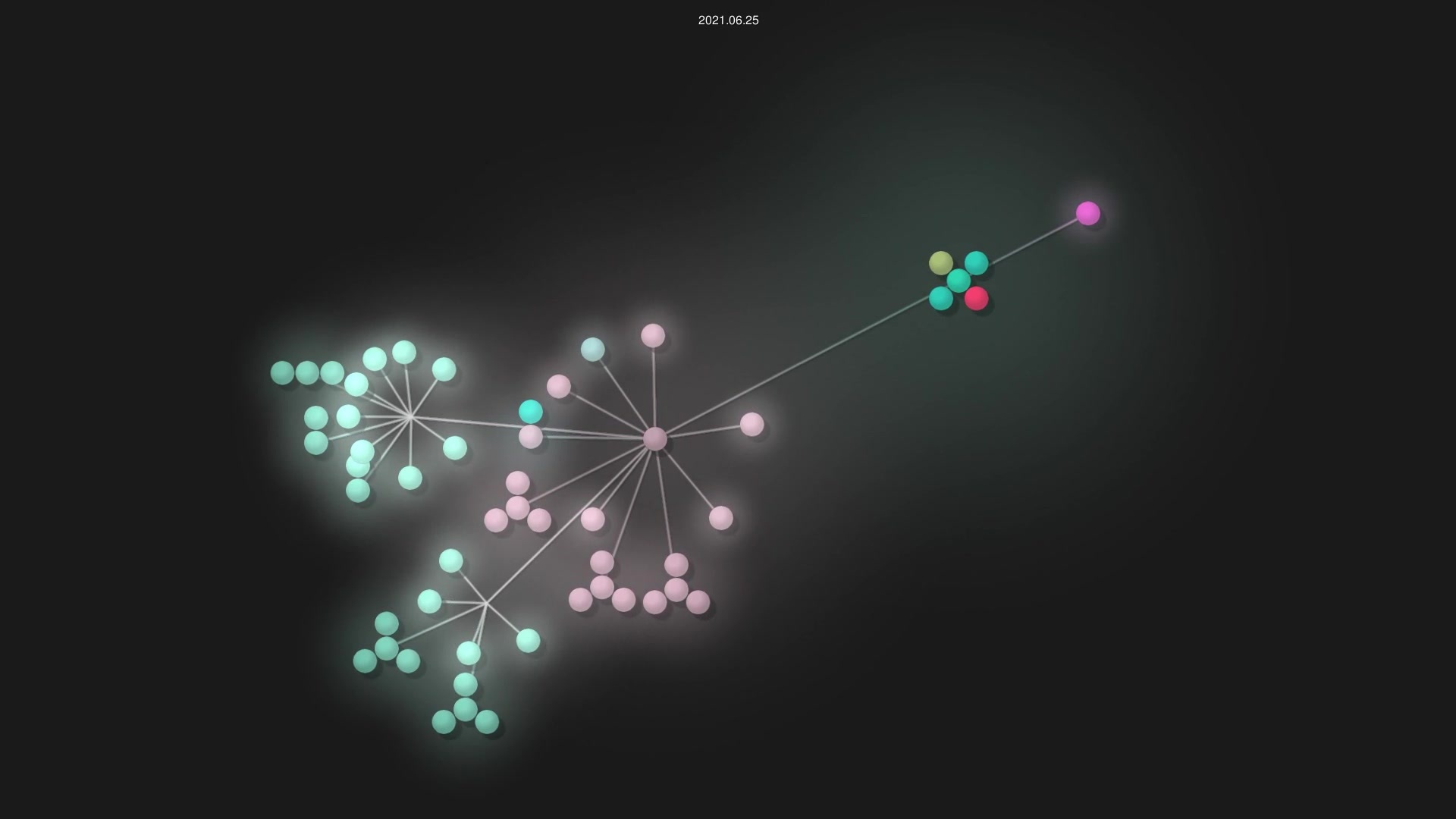 SaraBermudez4/SajomaPets source code visualization